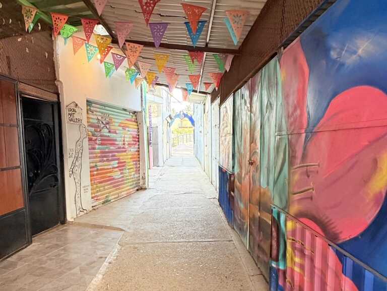 Lee más sobre el artículo El Paseo del Beso: un rincón encantado en Bucerías