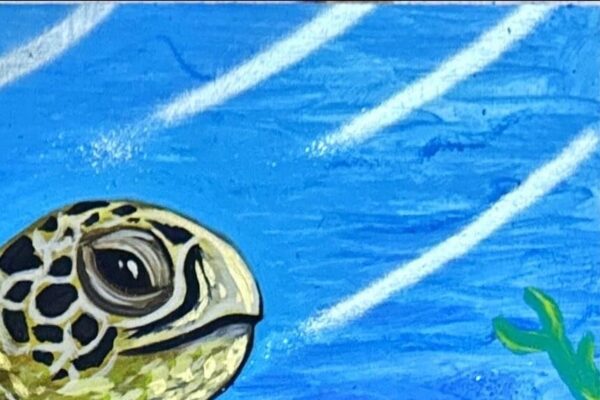 Tortuga en movimiento - Image 10