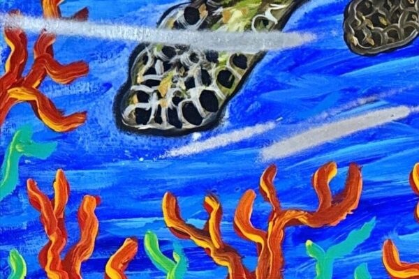 Tortuga en movimiento - Image 5
